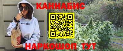 spice Камышлов