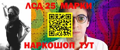 МДПВ Кингисепп