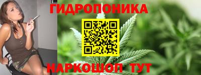 spice Камышлов