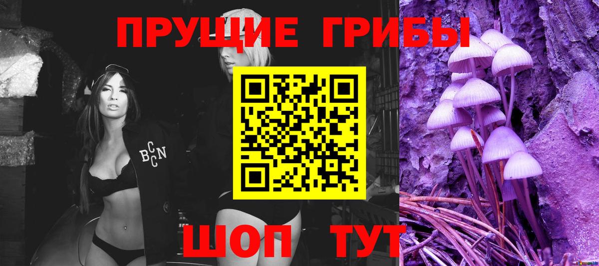 Галлюциногенные грибы MAGIC MUSHROOMS  сколько стоит  Костомукша  Псилоцибиновые грибы прущие грибы  Вход с VPN 